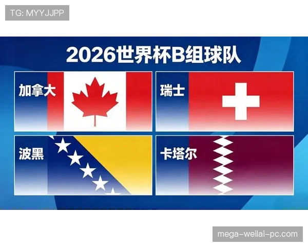 世界杯B组波黑晋级前景全面分析
